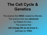 Adv. Bio. Ch 12 Mitosis