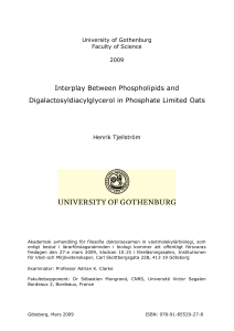 Interplay Between Phospholipids and