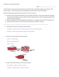 Test Review on the Muscular System