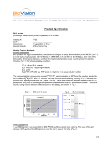 Product Specification