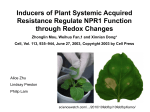 Inducers of Plant Systemic Acquired Resistance Regulate NPR1