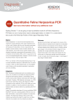 Quantitative-Feline-Herpesvirus-PCR