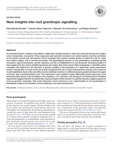 New insights into root gravitropic signalling