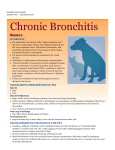 Bronchitis - Glendale Animal Hospital