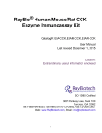 RayBio Human/Mouse/Rat CCK Enzyme Immunoassay Kit