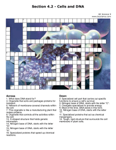 Section 4.2 - Cells and DNA