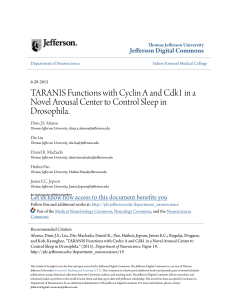 TARANIS Functions with Cyclin A and Cdk1 in a Novel Arousal