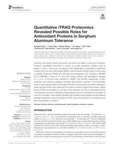 Quantitative iTRAQ Proteomics Revealed Possible Roles for