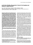 An 83 kDa 0-GlcNAc-Glycoprotein Is Found in the Axoplasm and