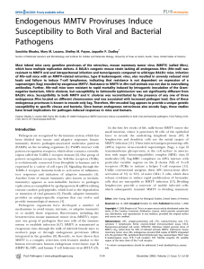 Endogenous MMTV Proviruses Induce Susceptibility to Both Viral