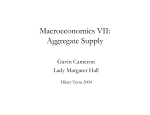 Macroeconomics VII: Aggregate Supply