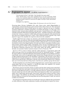 Chapter h THE AGE OF REPTILES h2 Angiosperms - e