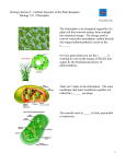 Chloroplast The chloroplast is an elongated organelle