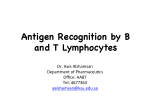 Antigen Recognition by B and T Lymphocytes