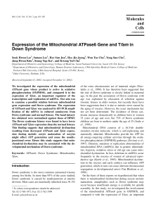Expression of the Mitochondrial ATPase6 Gene and Tfam in Down