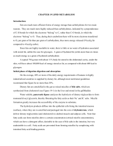 CHAPTER 19 LIPID METABOLISM Introduction: Fats are much more