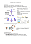 Fission and Fusion – Revision Pack (P4) Nuclear Fission: Natural