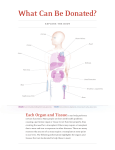 What Can Be Donated? - Mid