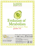 Evolution of Metabolism Puzzle Race