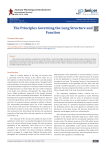 The Principles Governing the Lung Structure and Function