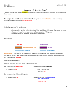 Laboratory 6- Acid Fast Stain