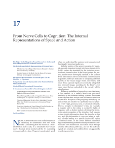 From Nerve Cells to Cognition: The Internal
