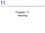 Chapter 11: Hearing