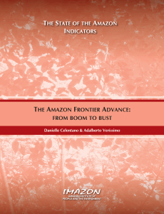 the amazon frontier advance: from boom to bust