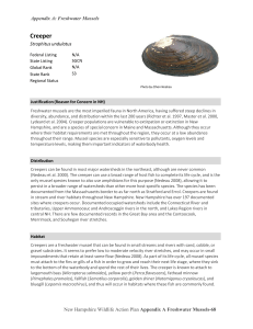 Appendix A: Freshwater Mussels