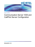 Communication Server 1000 and CallPilot Server
