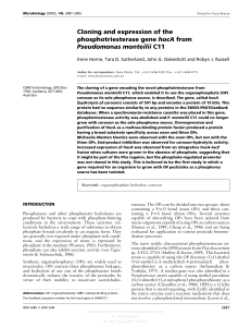 Cloning and expression of the phosphotriesterase