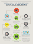 THE RINs CYCLE: FROM MERE COMPLIANCE