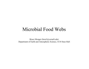 Microbial Food Webs - Cornell Geological Sciences
