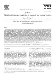 Mitochondria damage checkpoint in apoptosis and genome stability