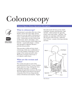 Colonoscopy - National Institute of Diabetes and Digestive and