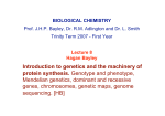 TT2007 Lecture 8 HB