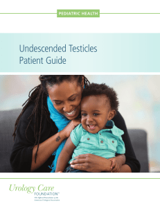 Undescended Testicles Patient Guide
