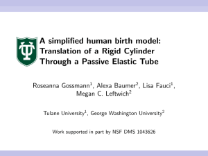 A simplified human birth model: Translation of a Rigid - Tulane-Math
