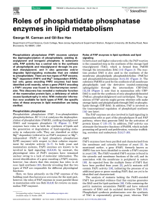 Roles of phosphatidate phosphatase enzymes in lipid metabolism