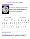 Karyotype WS (Disorders )