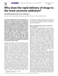 Why does the rapid delivery of drugs to the brain promote addiction?