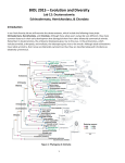 BIOL 2015 – Evolution and Diversity