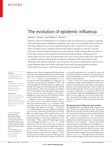 The evolution of epidemic influenza