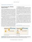 14.1 The lacI Gene Encodes a Diffusible Repressor