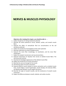 Physiology of muscles and nerves