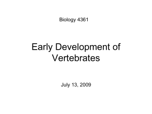 Early Development of Vertebrates