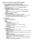 Ch. 5 Notes