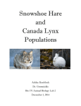 Snowshoe Hare and Canada Lynx Populations - G-WOW