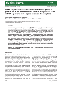 MHF1 plays Fanconi anaemia complementation group M protein