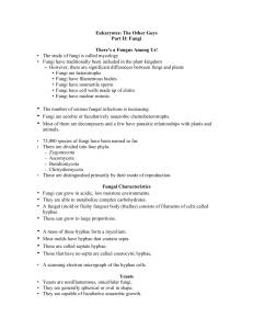 5b Eukaryotic Microbial S and F Fungi